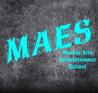 MARTIAL ARTS ENTERTAINMENT SCHOOL